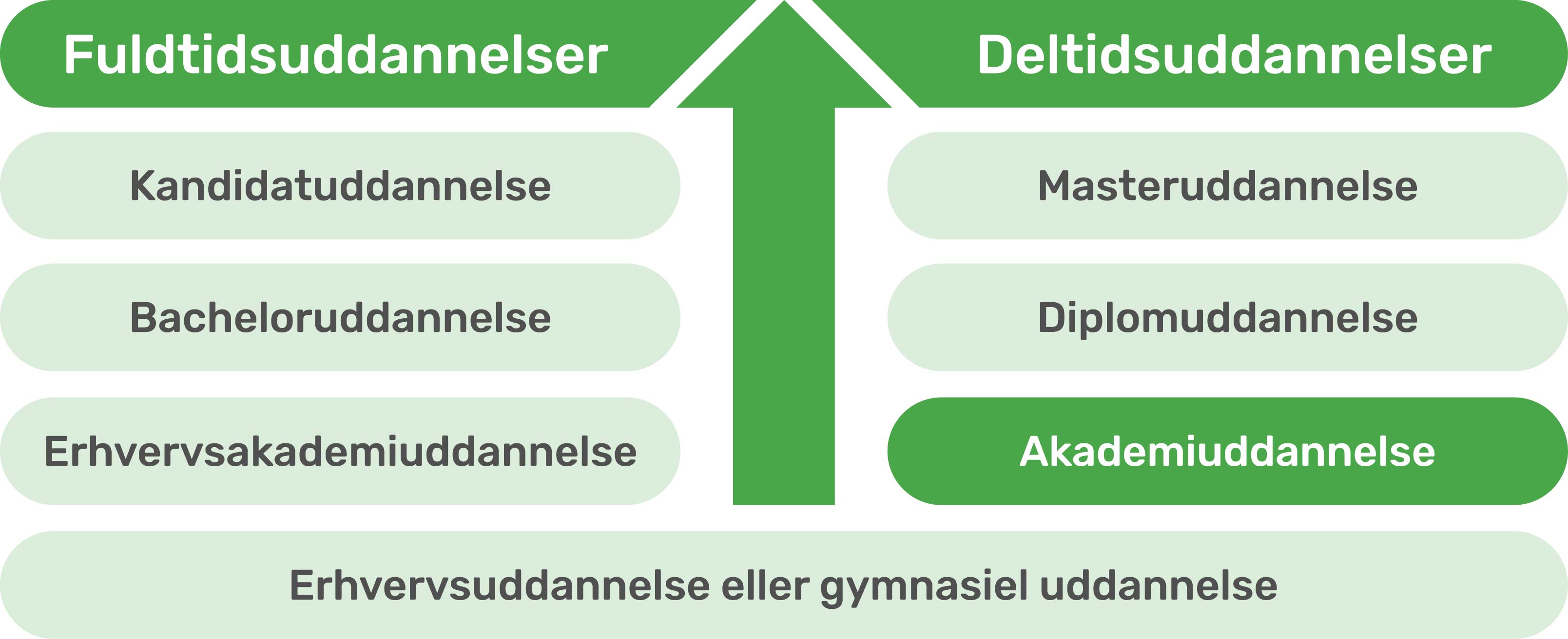 AkademiSkema