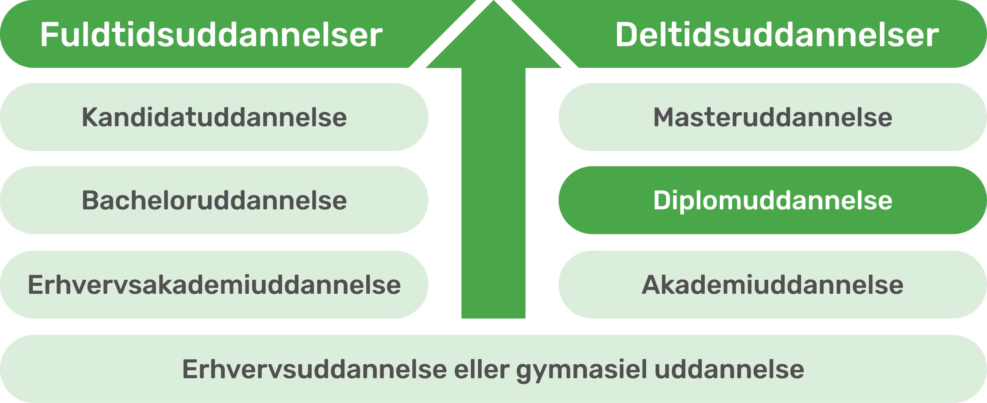 Skema uddannelsessystemet diplom